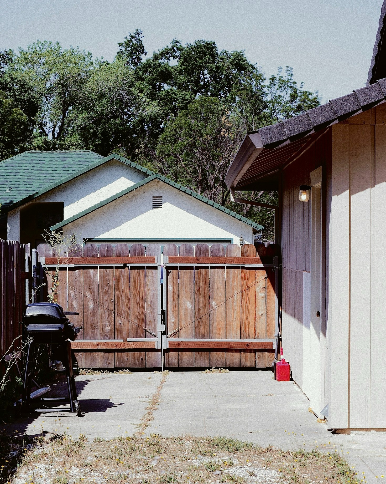 The Joy of Living Authentically: A Personal Journey